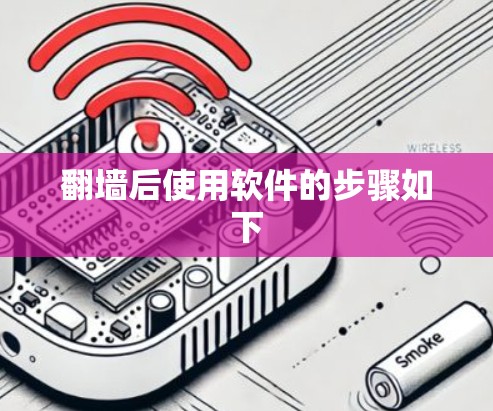 翻墙后使用软件的步骤如下
