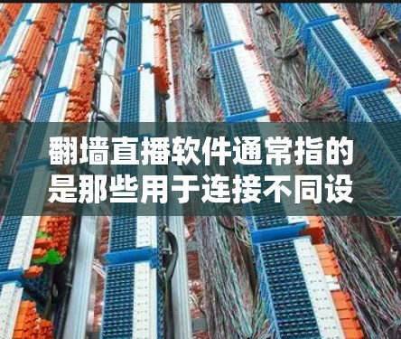 翻墙直播软件通常指的是那些用于连接不同设备或网络的软件，能够在不同设备之间进行数据传输和管理。这些软件可以帮助用户将直播内容从手机或电脑转移到其他设备上，或者在不同的设备上进行实时直播