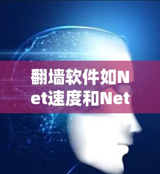 翻墙软件如Net速度和Netwallaz主要用于将网络上传的文件从云端下载到本地电脑或在网络环境中使用。以下是一些详细的信息和建议，帮助您更好地使用翻墙软件