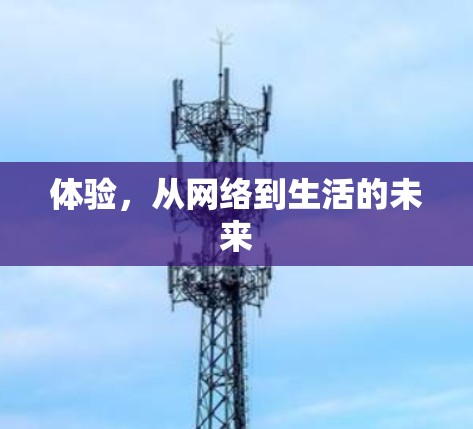 体验，从网络到生活的未来