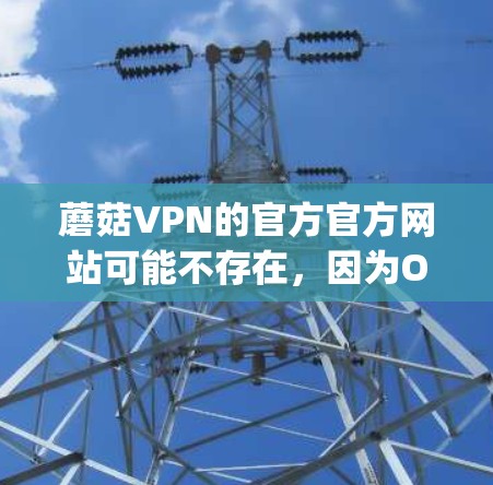 蘑菇VPN的官方官方网站可能不存在，因为OpenVPN（蘑菇VPN）是由Open Source社区开发的，官方网站通常不对外公开。因此，蘑菇VPN本身没有官方的Windows版