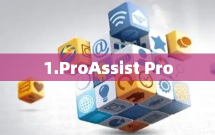 1.ProAssist Pro