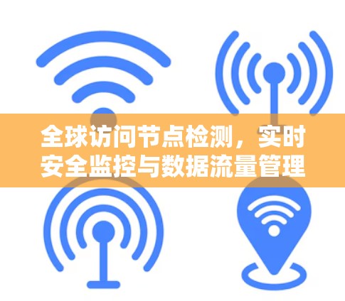 全球访问节点检测，实时安全监控与数据流量管理