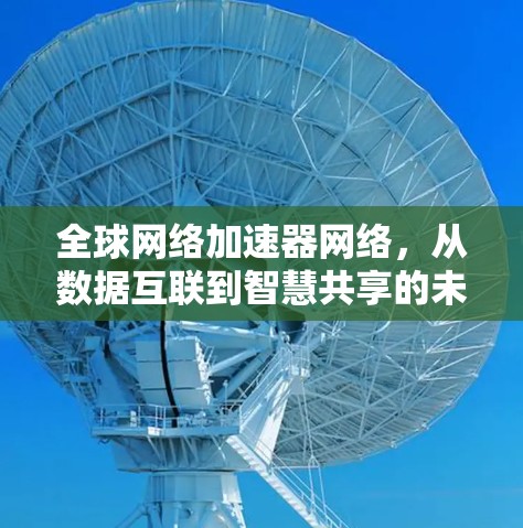 全球网络加速器网络，从数据互联到智慧共享的未来挑战与机遇