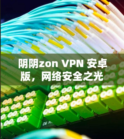 阴阴zon VPN 安卓版，网络安全之光
