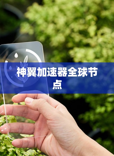 神翼加速器全球节点
