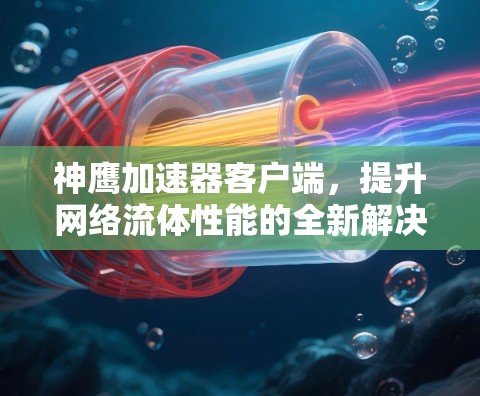 神鹰加速器客户端，提升网络流体性能的全新解决方案