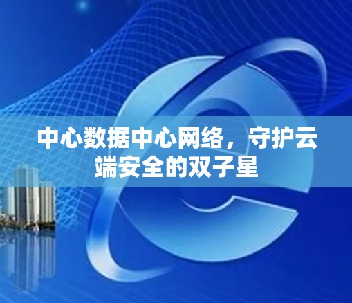 中心数据中心网络，守护云端安全的双子星