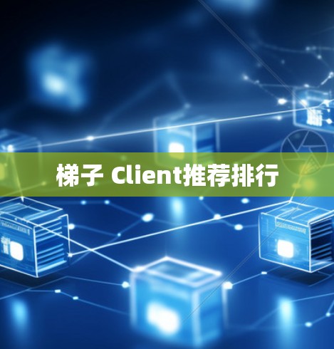梯子 Client推荐排行