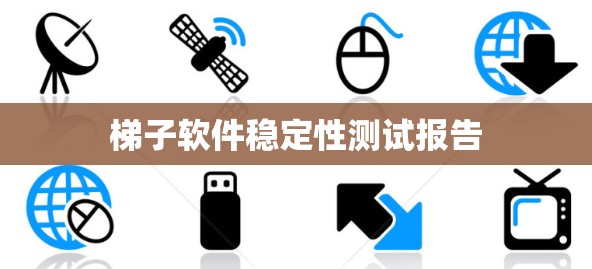 梯子软件稳定性测试报告