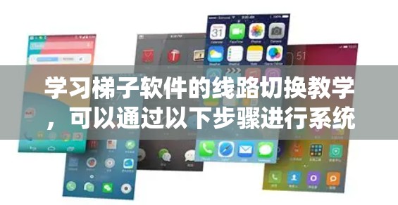 学习梯子软件的线路切换教学，可以通过以下步骤进行系统性学习