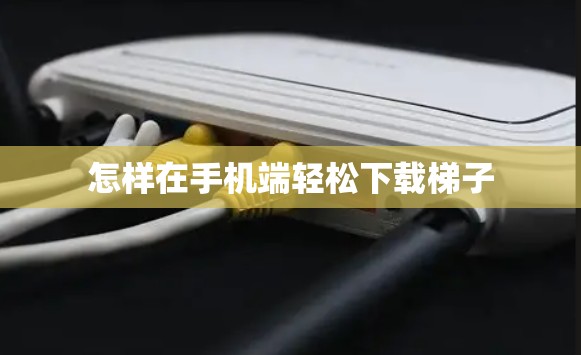 怎样在手机端轻松下载梯子