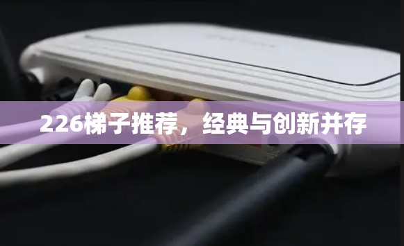 226梯子推荐，经典与创新并存