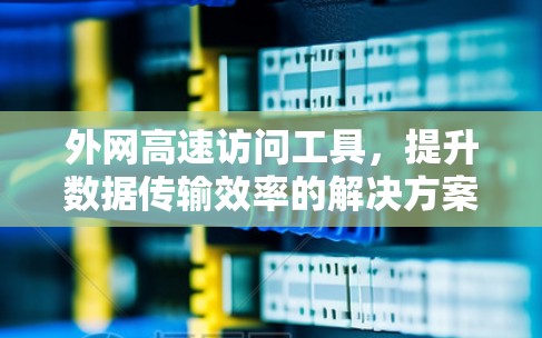 外网高速访问工具，提升数据传输效率的解决方案