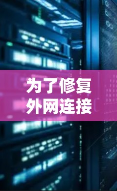 为了修复外网连接问题，您可以按照以下步骤进行