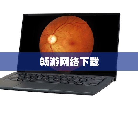 畅游网络下载