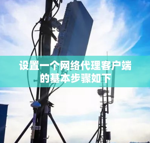 设置一个网络代理客户端的基本步骤如下