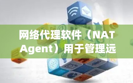 网络代理软件（NAT Agent）用于管理远程服务器的访问和操作，以下是系统使用指南的详细步骤