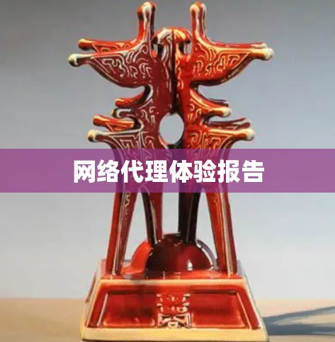 网络代理体验报告