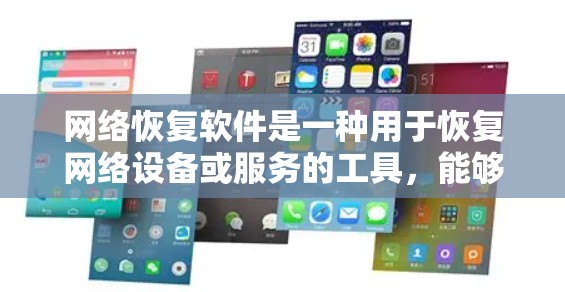 网络恢复软件是一种用于恢复网络设备或服务的工具，能够简化网络故障后的恢复工作。以下是对网络恢复软件的详细分析