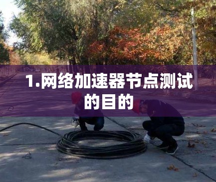1.网络加速器节点测试的目的