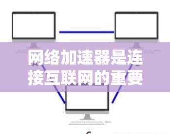 网络加速器是连接互联网的重要工具，尤其适合用于视频和在线游戏。以下是对网络加速器稳定方案的详细分析