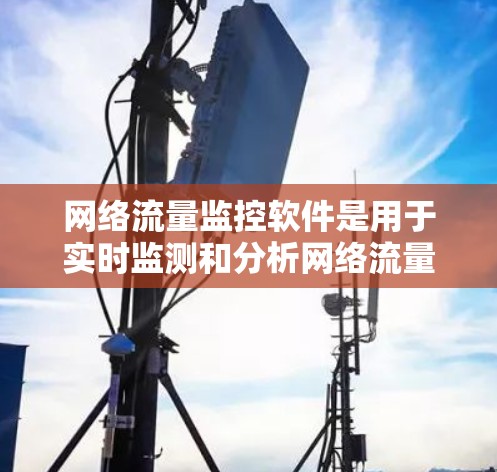 网络流量监控软件是用于实时监测和分析网络流量的数据管理工具，广泛应用于网络设备管理、流量异常检测、设备故障监控等领域。以下是该领域的详细总结