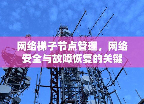 网络梯子节点管理，网络安全与故障恢复的关键