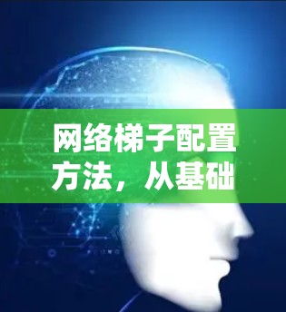 网络梯子配置方法，从基础到高阶
