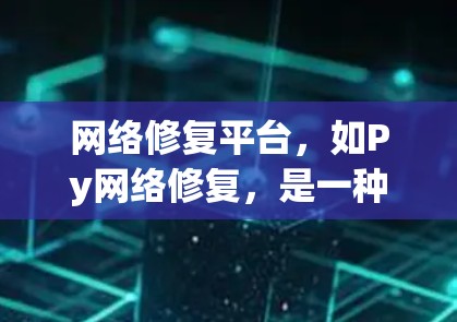 网络修复平台，如Py网络修复，是一种通过API获取网络信息并进行修复的工具，广泛应用于处理服务器故障、防火墙问题等网络故障。以下是对该平台的详细分析和总结
